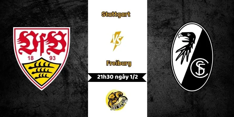 Nhận định Stuttgart vs Freiburg 21h30 ngày 1/2
